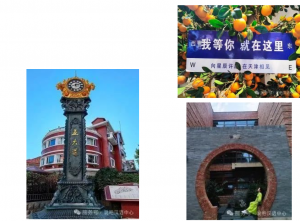 屏幕截图 2025-03-21 094141